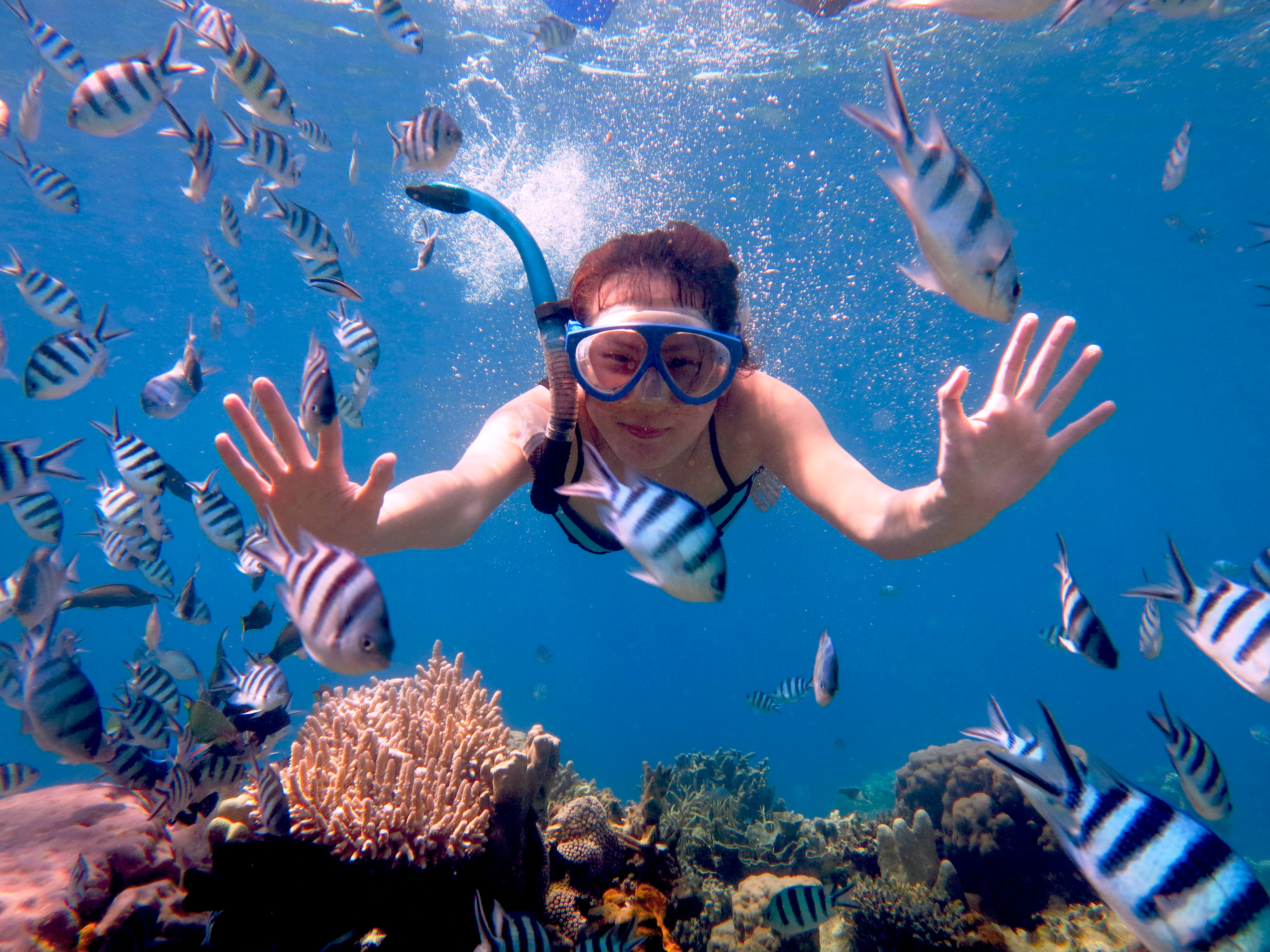 Tamu Karimunjawa Explore