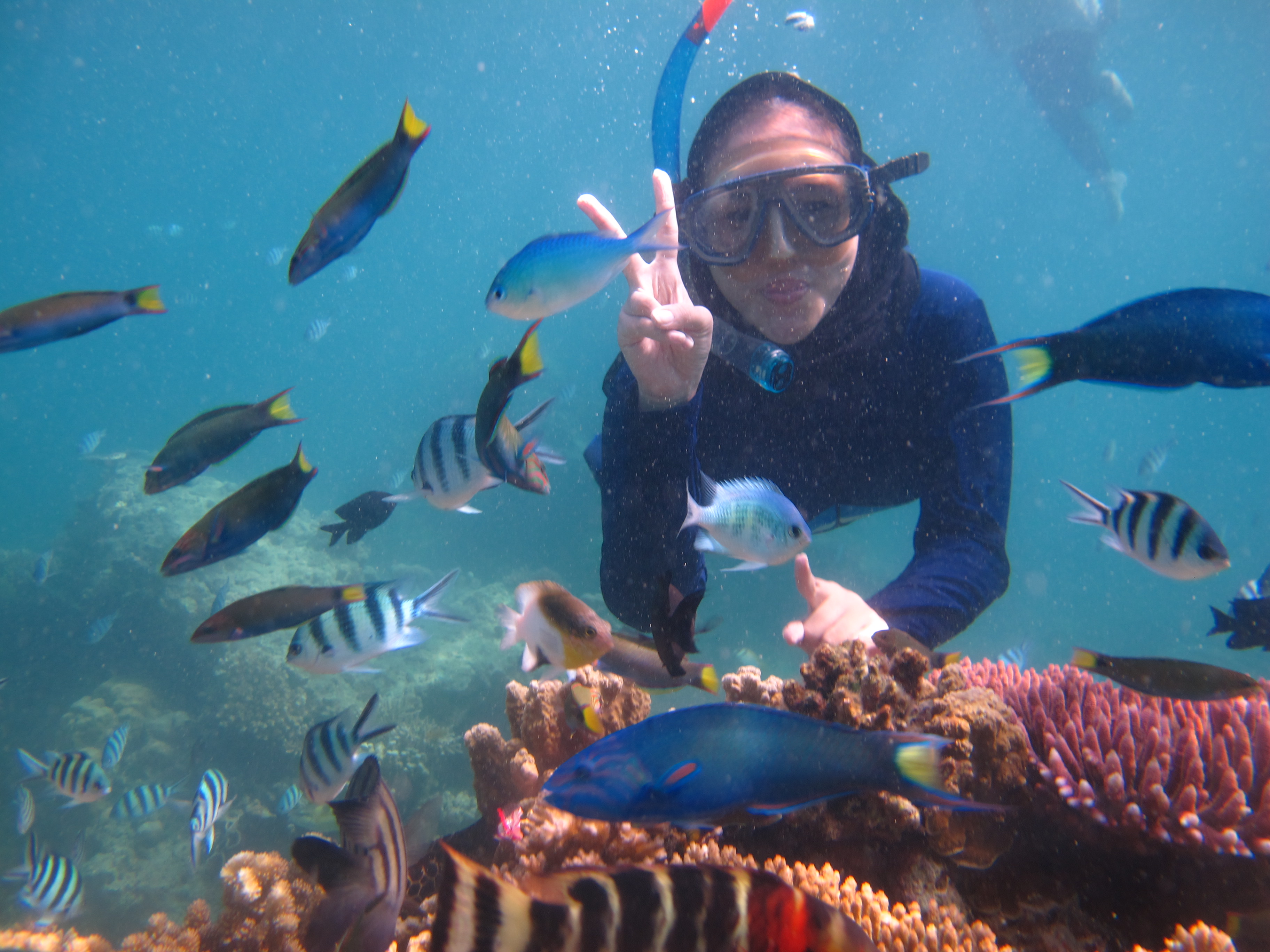 Tamu Karimunjawa Explore